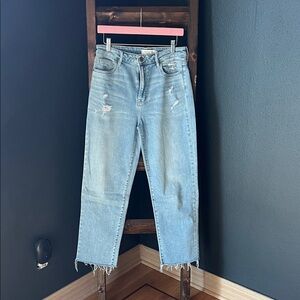 Women's Casual Light Blue Cropped Jeans